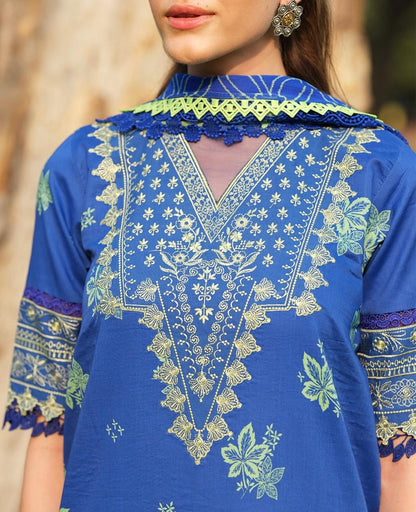 Naqsh Naaz-Bin Ilyas