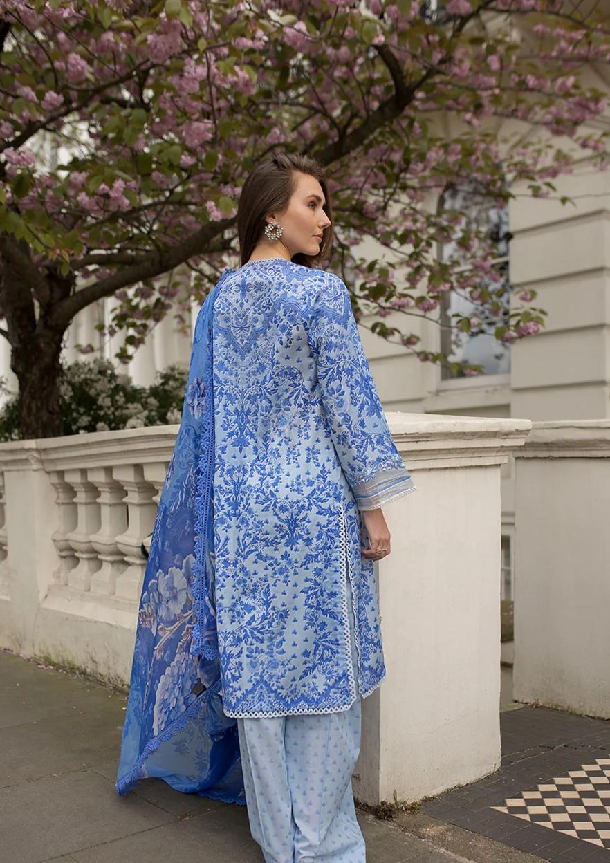 SN basics by Sobia Nazir