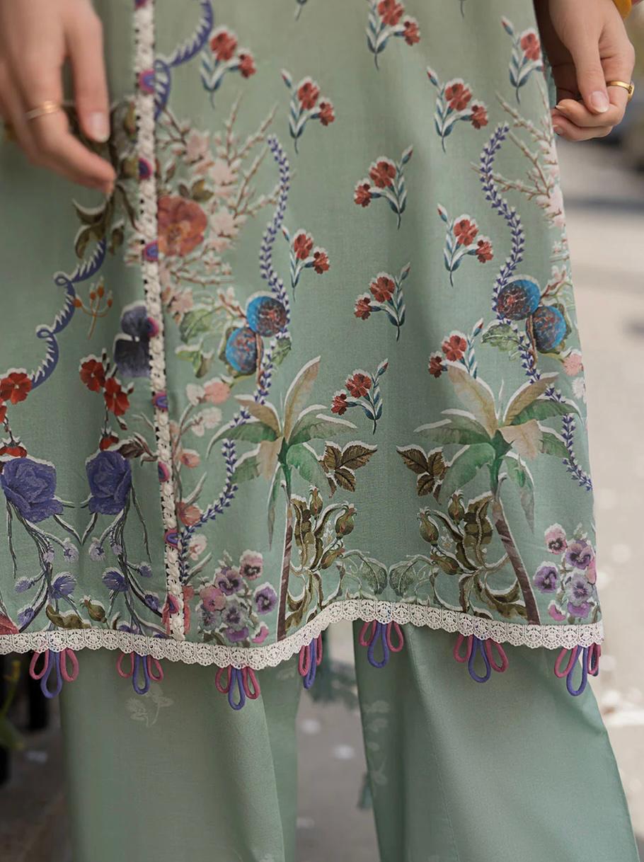 SN basics by Sobia Nazir