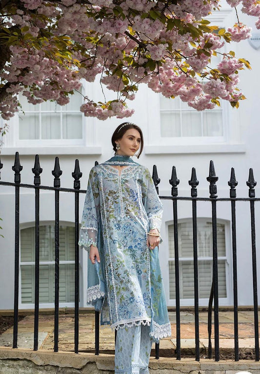 SN basics by Sobia Nazir