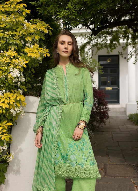 SN basics by Sobia Nazir