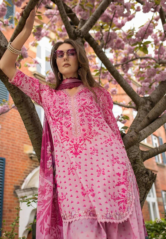 SN basics by Sobia Nazir