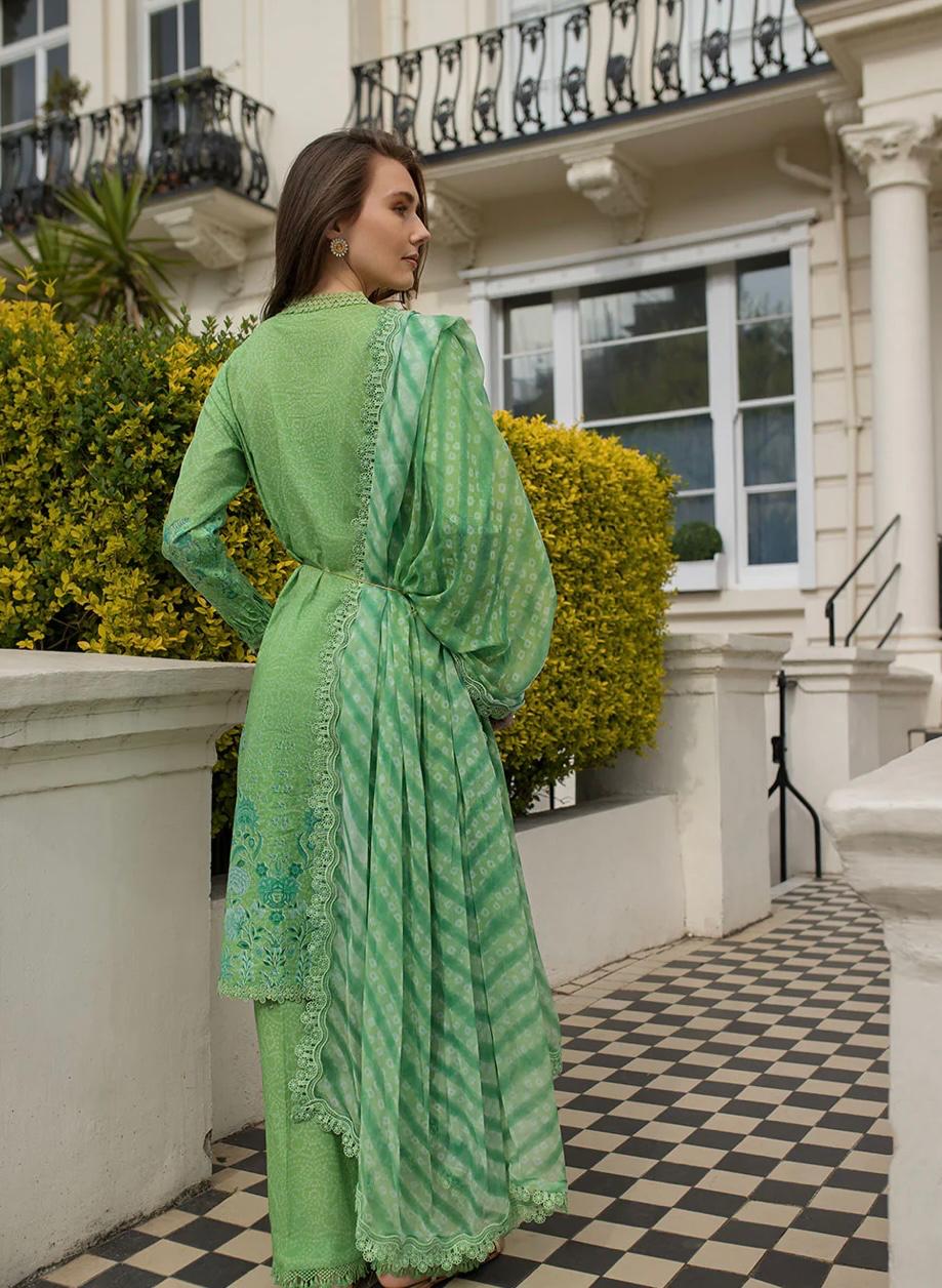 SN basics by Sobia Nazir