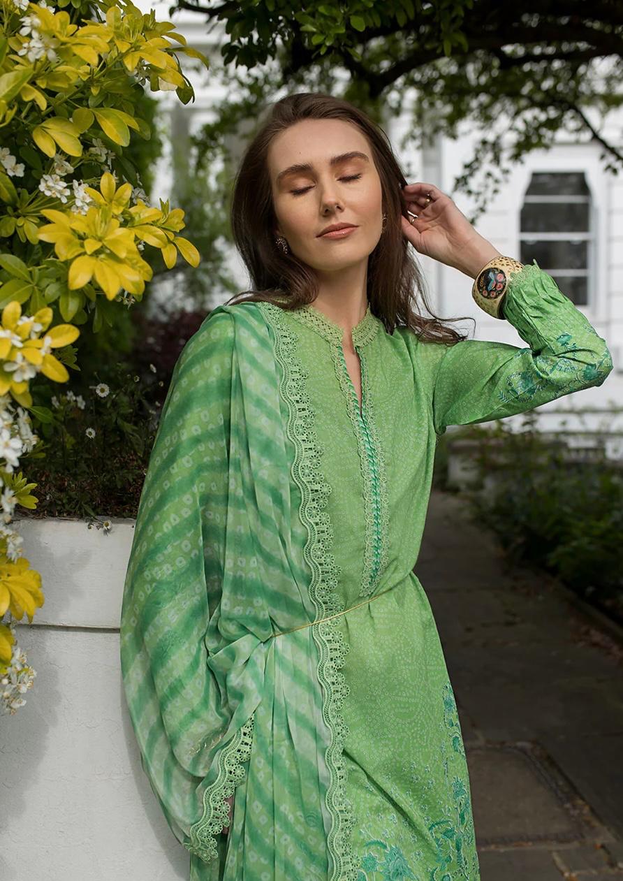 SN basics by Sobia Nazir