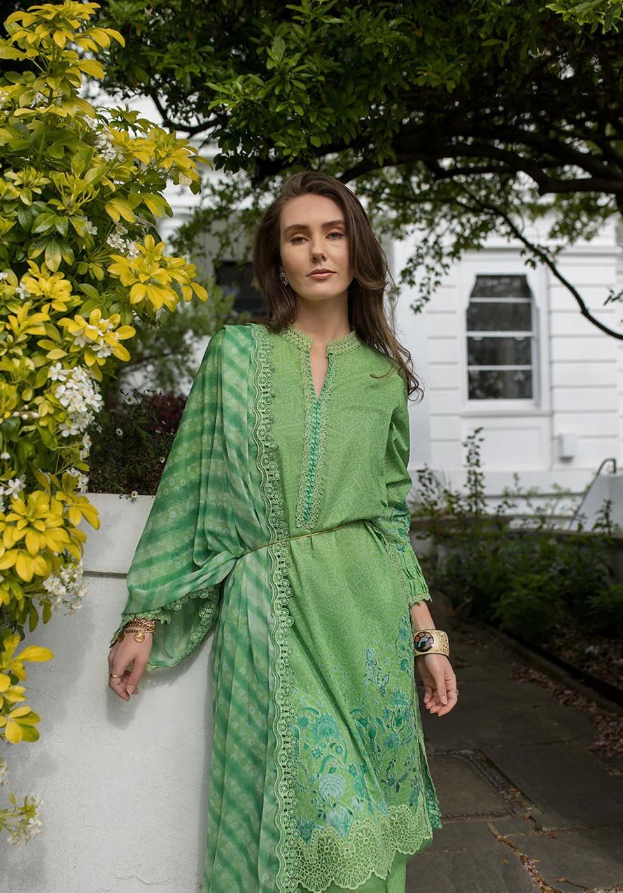 SN basics by Sobia Nazir