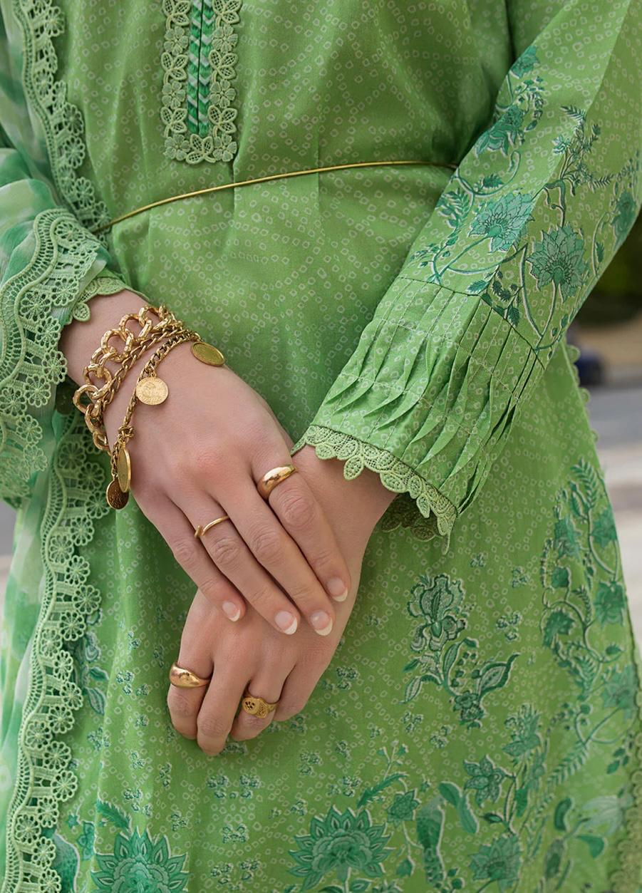 SN basics by Sobia Nazir