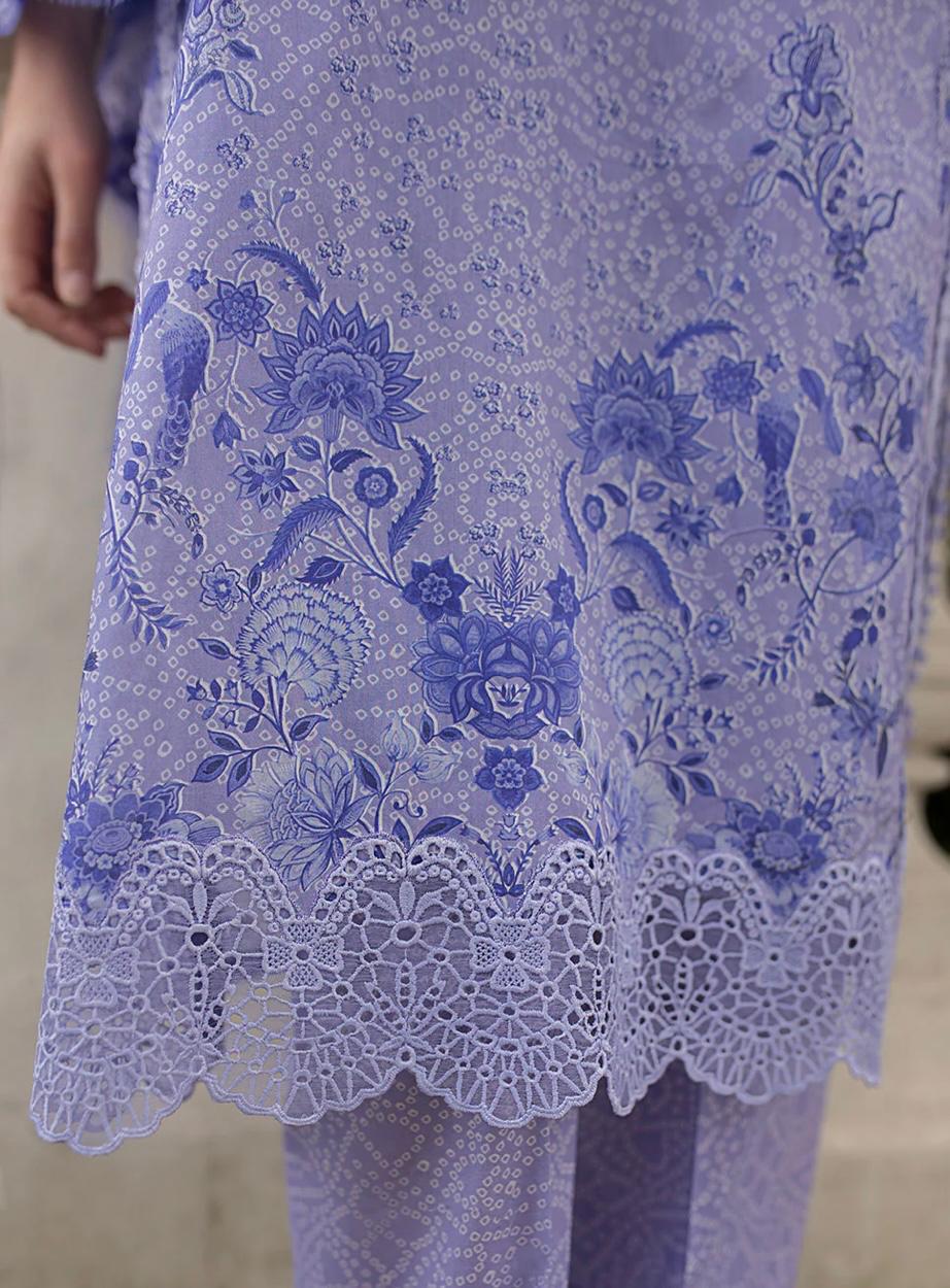 SN basics by Sobia Nazir