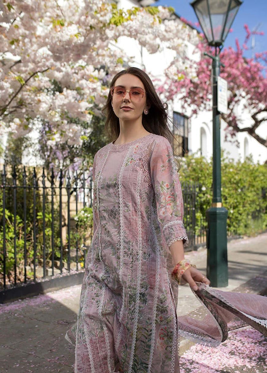 SN basics by Sobia Nazir