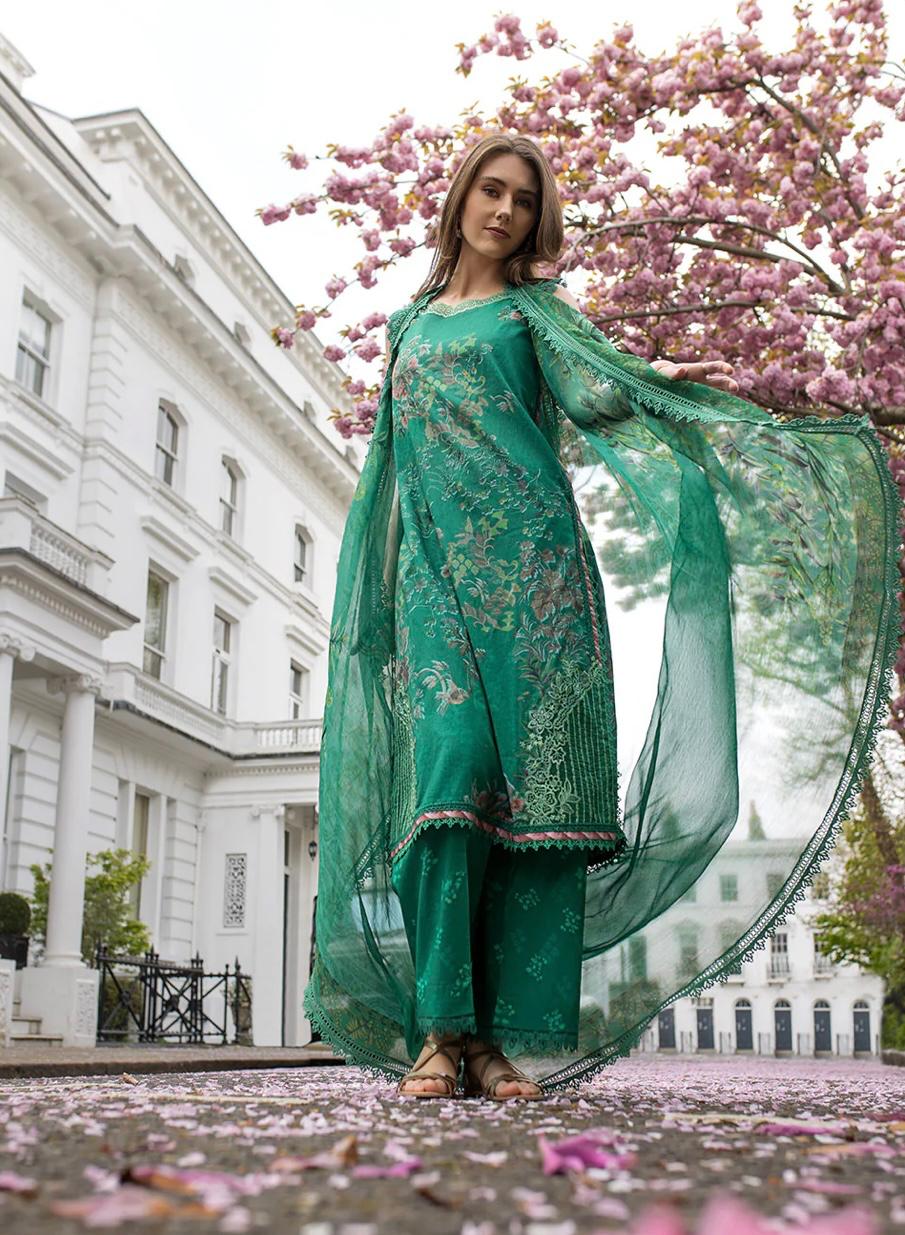 SN basics by Sobia Nazir
