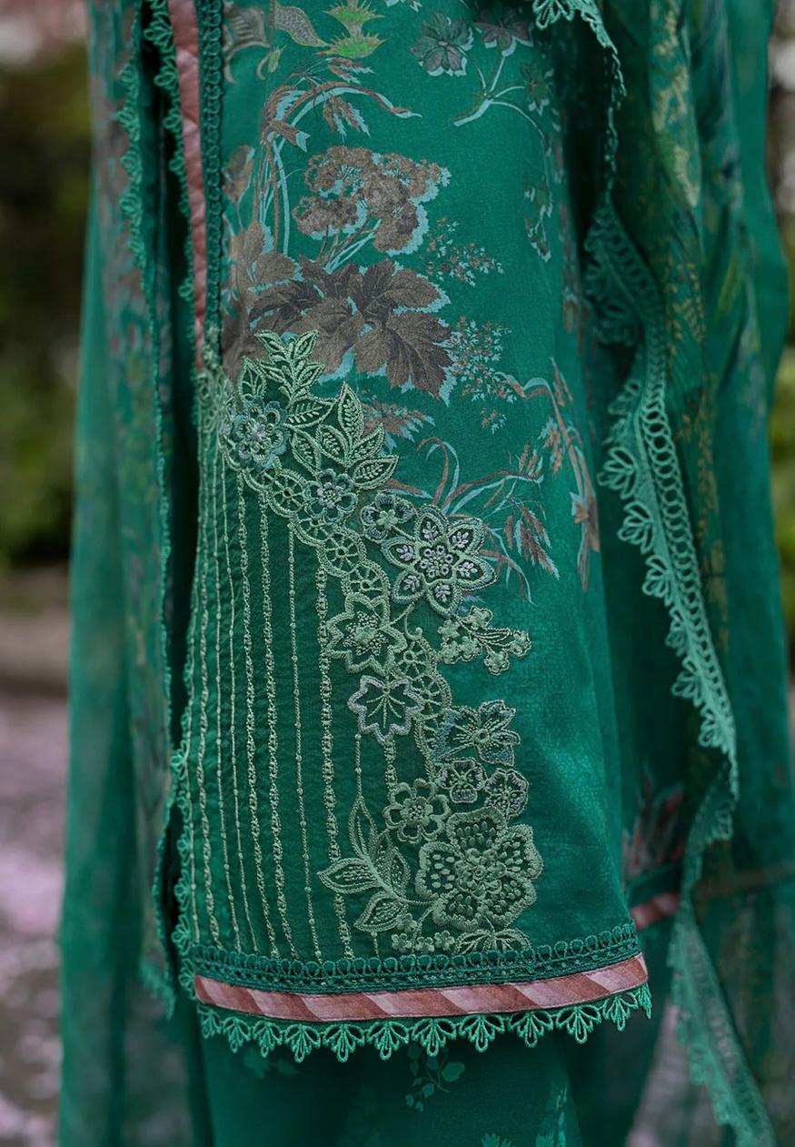 SN basics by Sobia Nazir