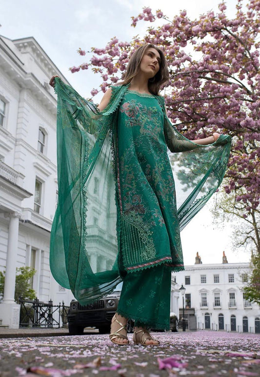 SN basics by Sobia Nazir