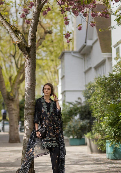 SN basics by Sobia Nazir