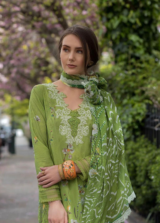 SN basics by Sobia Nazir