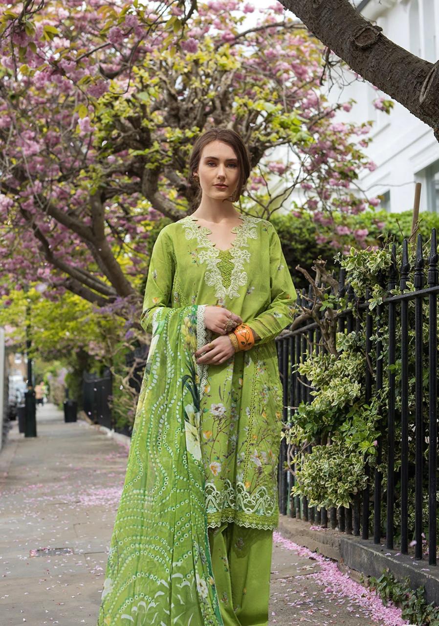 SN basics by Sobia Nazir