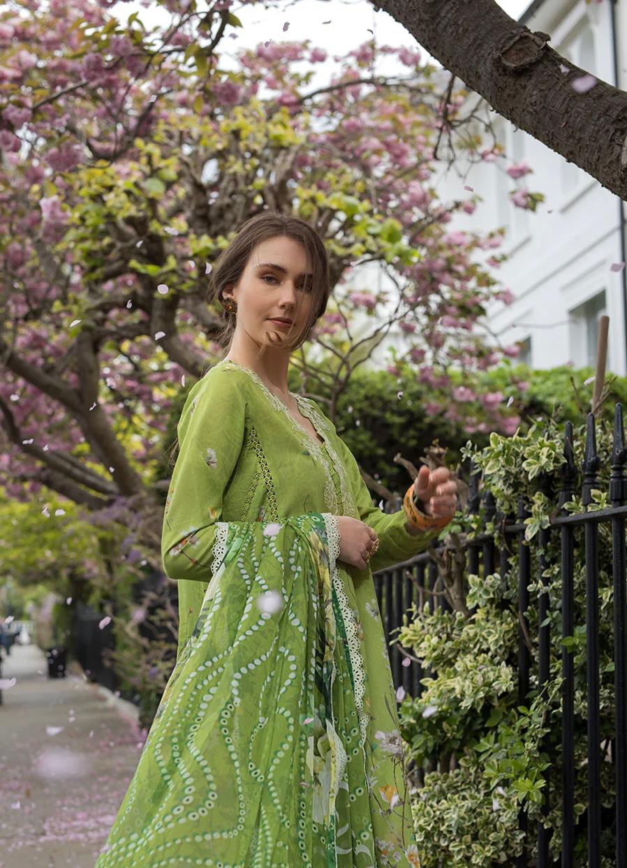 SN basics by Sobia Nazir