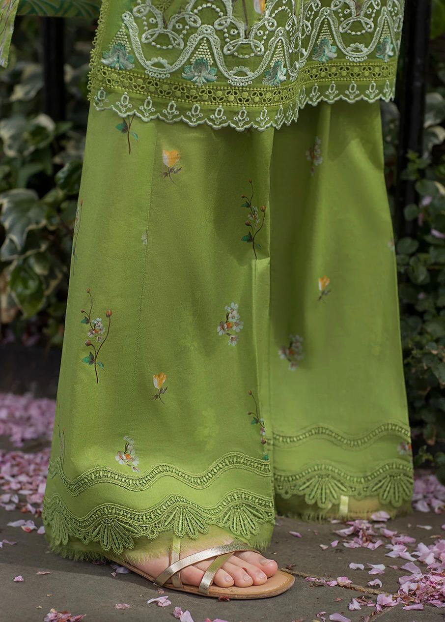SN basics by Sobia Nazir