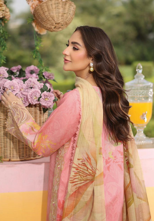 RangRasiya Summer Vol.2